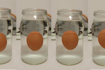 experiment levitating egg featured