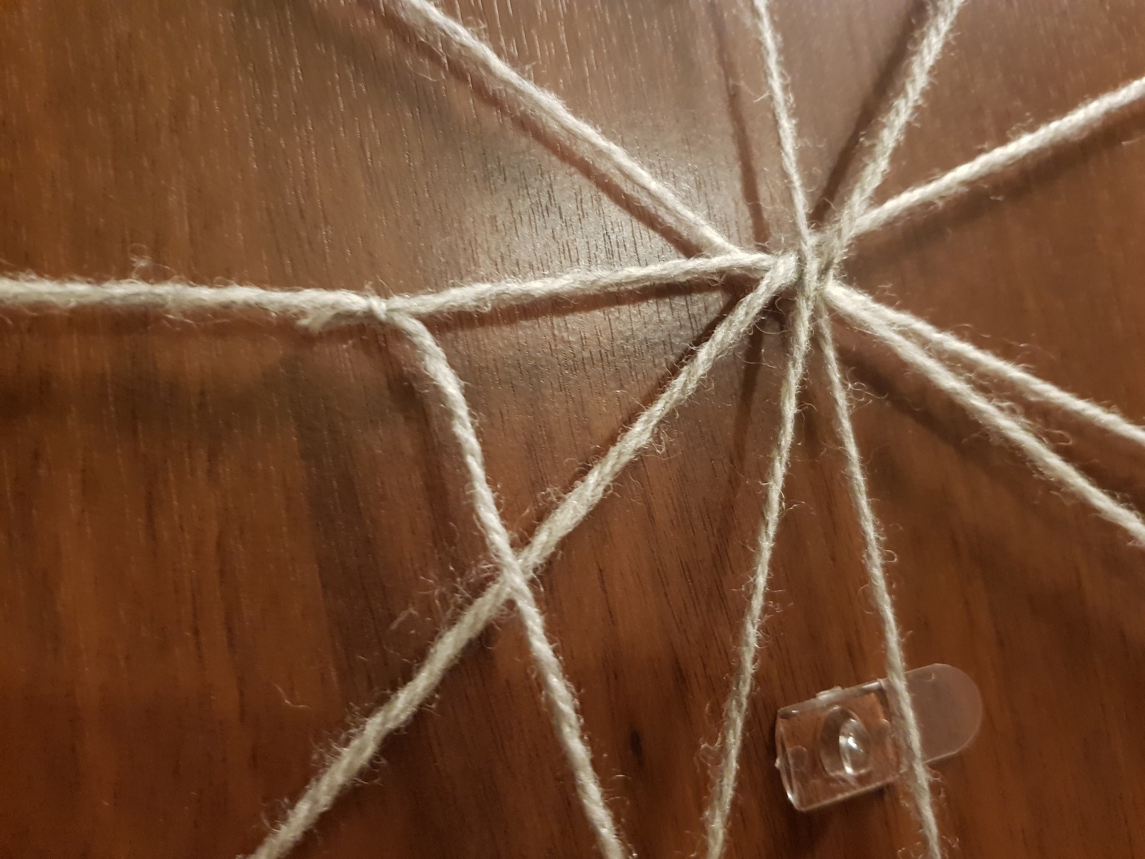 halloween spiders web on the door main thread start