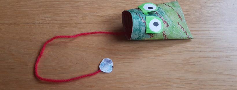 paper roll frog catching fly