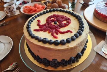 octonauts octoalert birthday cake featured